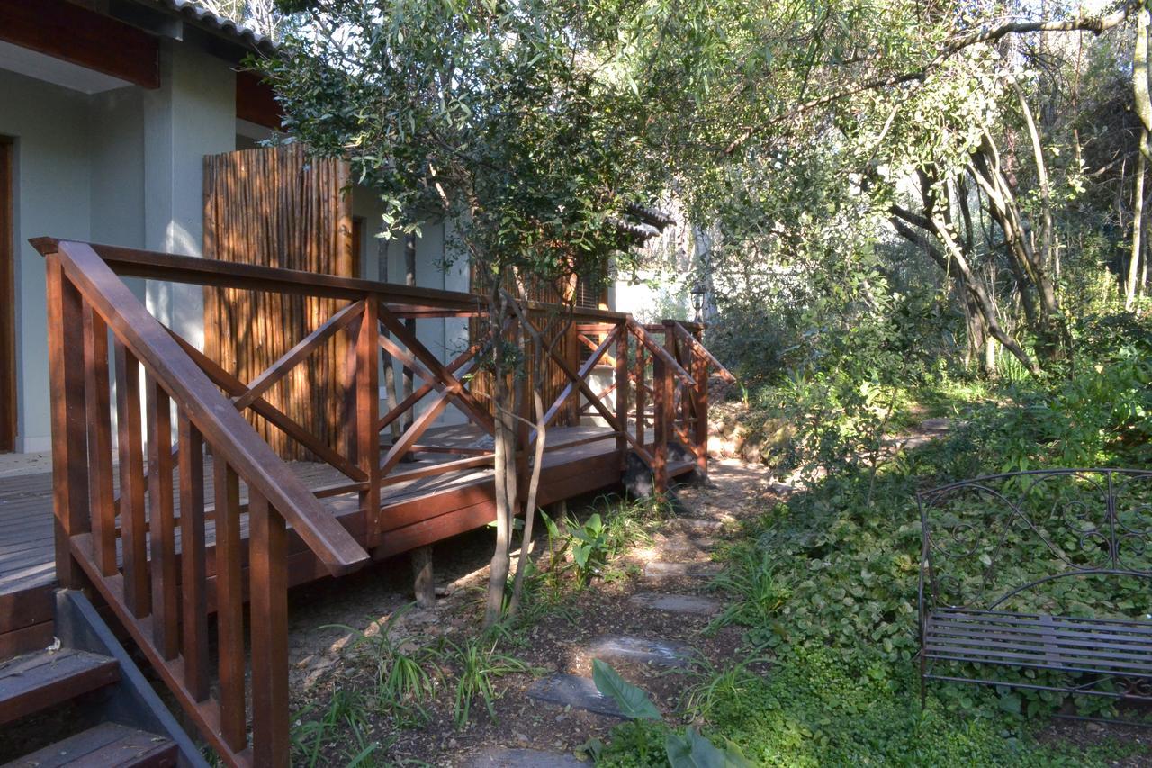 Lydall Wild Tranquil Garden Suites Johannesburg Kültér fotó